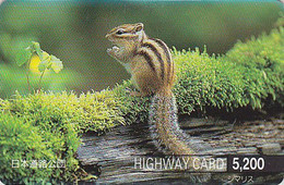 Carte Prépayée JAPON - ANIMAL - ECUREUIL - SQUIRREL  JAPAN Prepaid Highway Ticket Card - EICHHÖRNCHEN -  HW 302 - Otros & Sin Clasificación