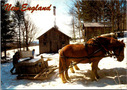 New England Sugar Maple Time Horse Drawn Sled - Autres & Non Classés