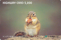 Carte JAPON - ANIMAL - ECUREUIL & Noisette - SQUIRREL & Walnut Japan Highway Ticket Card - EICHHÖRNCHEN - HW 304 - Otros & Sin Clasificación