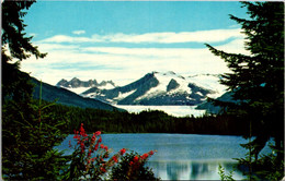 Alaska Mendenhall Glacier Near Juneau - Juneau