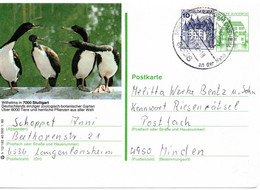 57317 - Bund - 1982 - 50Pfg B&S GABildKte "Wilhelmina Stuttgart" M ZusFrankatur LANGENLONSHEIM - ... -> Minden - Andere & Zonder Classificatie