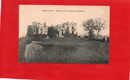 64-----BIDACHE----Ruines Du Vieux Château De Gramont---peu Courante--voir 2 Scans - Bidache