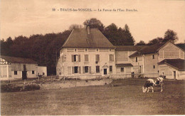 FRANCE - 88 - THAON LES VOSGES - La Ferme De L'eau Blanche - Carte Postale Ancienne - Thaon Les Vosges