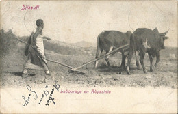 DJIBOUTI - LABOURAGE EN ABYSSINIE - 1904 - Afrique