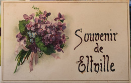 Allemagne - Hesse - Souvenir De ELTVILLE - Carte Fantaisie Avec Paillettes - Ecrit 1921 (voir Les 2 Scans) - Eltville