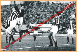 655> < BOLOGNA - UDINESE Colpo Di Testa Di GINO CAPPELLO > Foto Riproduzione - Periodo Originale: Anni '50 - Sporten
