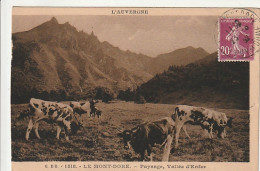 ***  63  *** LE MONT DORE  élevage Paysage De La Vallée D'enfer TTB - Crías