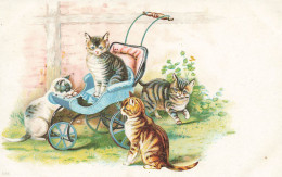 Chats Humanisés * CPA Illustrateur * Chatons Et Poussette Landau Pram Kinderwagen * Chat Cat Cats Katze - Cats