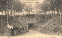 Hermonville , Vaux Varennes Trigny & Marzilly * Les Champignonnières , Entrée D'une Cave * Culture Champignon Mushroom - Montmirail