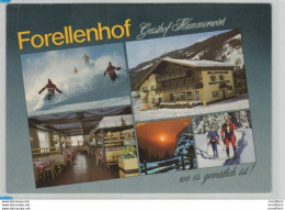 Untertauern - Gasthof Hammerwirt - Forellenhof - Obertauern