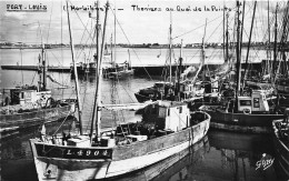 Port Louis * Bateaux De Pêche Thoniers Au Quai De La Pointe - Port Louis