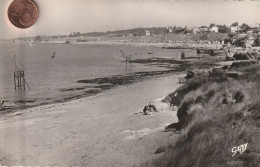 44 - Carte Postale Semi Moderne De THARON PLAGE   Les Pècheries - Tharon-Plage