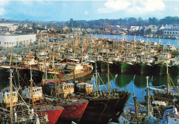 Concarneau * Les Bateaux De Pêche Chalutiers Au Repos Dans Le Port - Concarneau