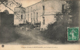 St épain * L'ancien Château De Montgoger - Sonstige & Ohne Zuordnung
