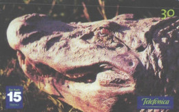 Brazil:Brasil:Used Phonecard, Telefonica, 30 Units, Alligator, Melanosuchus Niger, 2001 - Brasilien