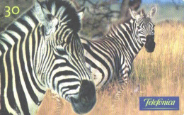 Brazil:Brasil:Used Phonecard, Telefonica, 30 Units, Zebra, 2000 - Brasilien