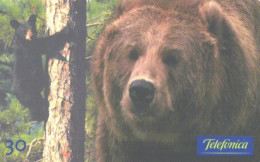 Brazil:Brasil:Used Phonecard, Telefonica, 30 Units, Bears, 2000 - Brasilien