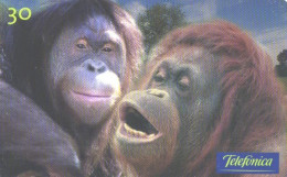 Brazil:Brasil:Used Phonecard, Telefonica, 30 Units, Monkeys, Orangutan, 2000 - Brasilien