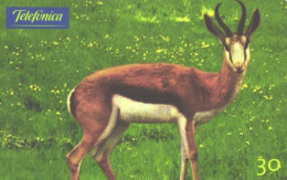 Brazil:Brasil:Used Phonecard, Telefonica, 30 Units, Antelope, 2000 - Brasilien