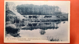 CPA (85)  La Mothe Achard. Ecole D'Agriculture N.D De La Forêt. Le Bétail à La Prairie.    (Y.377) - La Mothe Achard