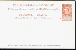 Belgique. Entier Postal 10 C. Carte Paquebots De L'Etat Belge. Ligne Ostende-Douvres. A Bord Du Princesse Clémentine. TB - Bootkaarten