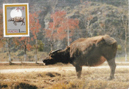 MACAU 1985  MAXIMUM CARDS  LUNAR YEAR OF THE BUFFALO - Tarjetas – Máxima