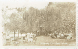 Anseremme Ile D'amour Mosa 2268 La Pelouse (photo Carte) - Dinant