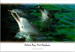 (2 P 30) Australia - Nelson Bay & Port Stephens (Dolphins) - Dauphins