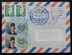 Egypt 2019 Cover With  100th Anniversary Of The 1919 Revolution And King Pharaoh Tuhotmos Lll Stamps Returned To Sender - Cartas & Documentos