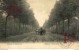 Avenue De La Princesse Clémentine  BOURG LEOPOLD Camp De BEVERLOO KAMP Leopoldsburg  WWICOLLECTION - Leopoldsburg (Kamp Van Beverloo)