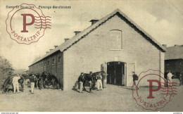 PANSAGE DES CHEVAUX  BOURG LEOPOLD Camp De BEVERLOO KAMP Leopoldsburg  WWICOLLECTION - Leopoldsburg (Kamp Van Beverloo)
