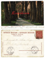 Bosque De Chapultepec Mexico Mexique 1907 Timbre Obliteration Cachet CPA Carte Postale Tarjeta Postal Old Postcard - Mexiko