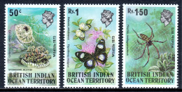 British Indian Ocean Territory - Scott #54-56 - MNH - SCV $15 - Territoire Britannique De L'Océan Indien