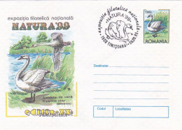 ANIMALS, BIRDS, MUTE SWAN, COVER STATIONERY, 1999, ROMANIA - Cygnes