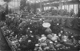 CPA 91 IGNY / CARTE PHOTO / ECOLE D'HORTICULTURE SAINT NICOLAS / LEGUMES - Igny