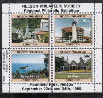 SSCF650- NOVA ZELÂNDIA 1989- MNG (FILATELIA) - Hojas Bloque