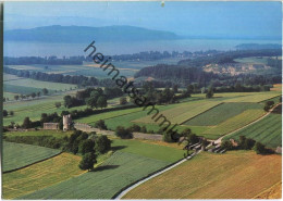 Aventicum - Avenches - Römische Stadtmauer - Edition Deriaz Baulmes - Avenches