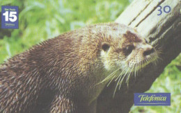 Brazil:Brasil:Used Phonecard, Telefonica, 30 Units, Otter, 2001 - Brasilien