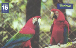 Brazil:Brasil:Used Phonecard, Telefonica, 30 Units, Parrots, 2001 - Brasilien