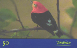 Brazil:Brasil:Used Phonecard, Telefonica, 20 Units, Bird, Pipra Fasciicauda, 1999 - Brasilien