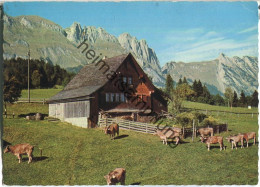 Bergheimet Am Gamserberg Gegen Den Alpstein - Verlag A. Eggenberger Walzenhausen - Gams