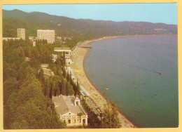 Aerial View Of The Coast, Beach Of Sukhumi, Abkhazia, Georgia - Postal Stationery USSR - Géorgie