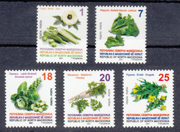 Macedonia 2021 Vegetables Okra Lettuce Brussels Sprout Parsley Arugula Flora Plants, Definitive Set MNH - Gemüse