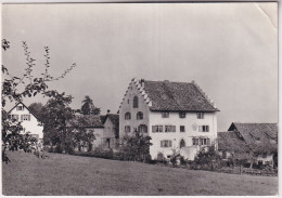 Heimatwerkschule Richterswil - Hauptgebäude 16. Jahrhundert - Richterswil