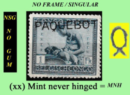 1925 ** CONGO BELGE / BELGIAN CONGO COB 127 PAQUEBOT VLOORS 2 ( SINGULAR ) ( X 1 Stamp MNH NSG) NO GUM + NO FRAME - Neufs