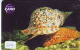 Telecarte Coquillage (639) TOT THAILAND A PUCHE * Sea Shell Muschel Seashell Muszle Conchiglia Schelpen Seashells - Fish