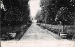 TAMISE-TEMSE - Une Avenue Et La Rue Du Château - Carte Précurseur Ayant Circulé - Edition Albert Sugg à Gand - Temse