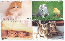 CARTE TELEPHONIQUE PHONECARD TELEPHONE CARD 4 X CAT CHAT KAT NTT JAPON - Gatos