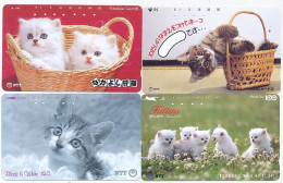 CARTE TELEPHONIQUE PHONECARD TELEPHONE CARD 4 X CAT CHAT KAT NTT JAPON - Gatos