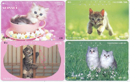 CARTE TELEPHONIQUE PHONECARD TELEPHONE CARD 4 X CAT CHAT KAT NTT JAPON - Chats